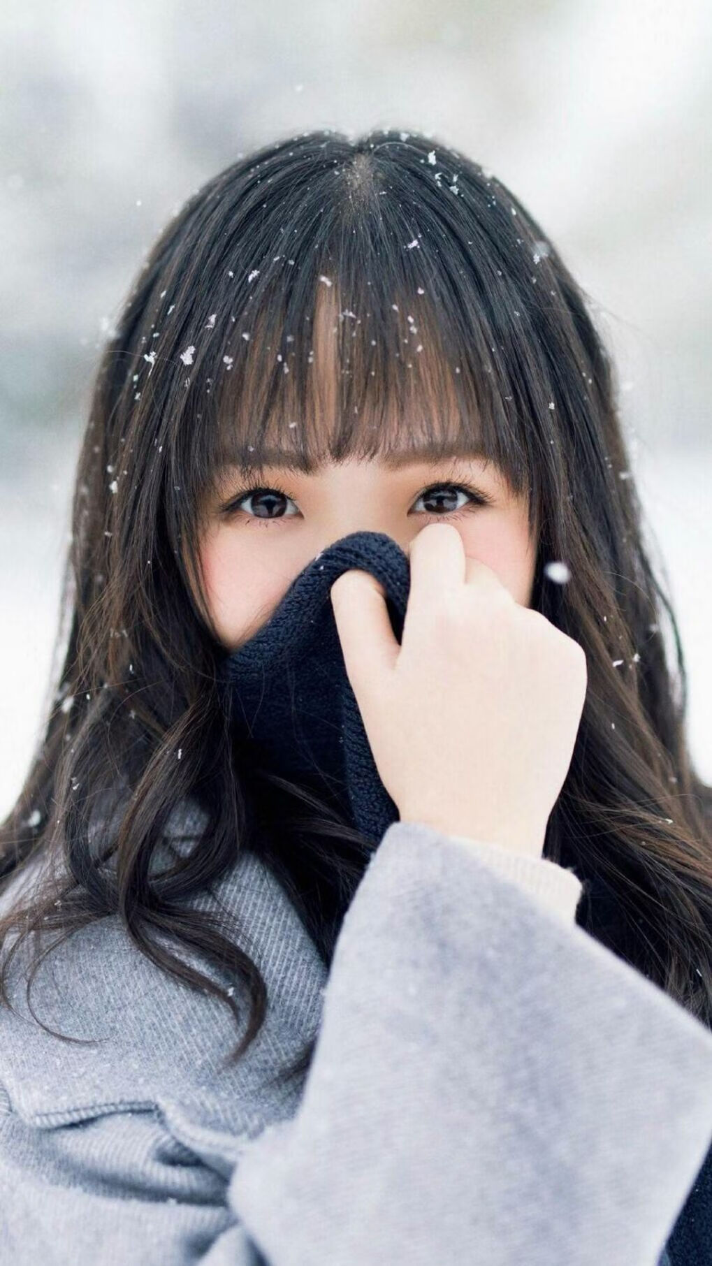美国骑手麦克莱恩·沃德在巴黎奥运会上获得障碍赛银牌，成为历史上获得最多奥运奖牌的美国马术运动员。