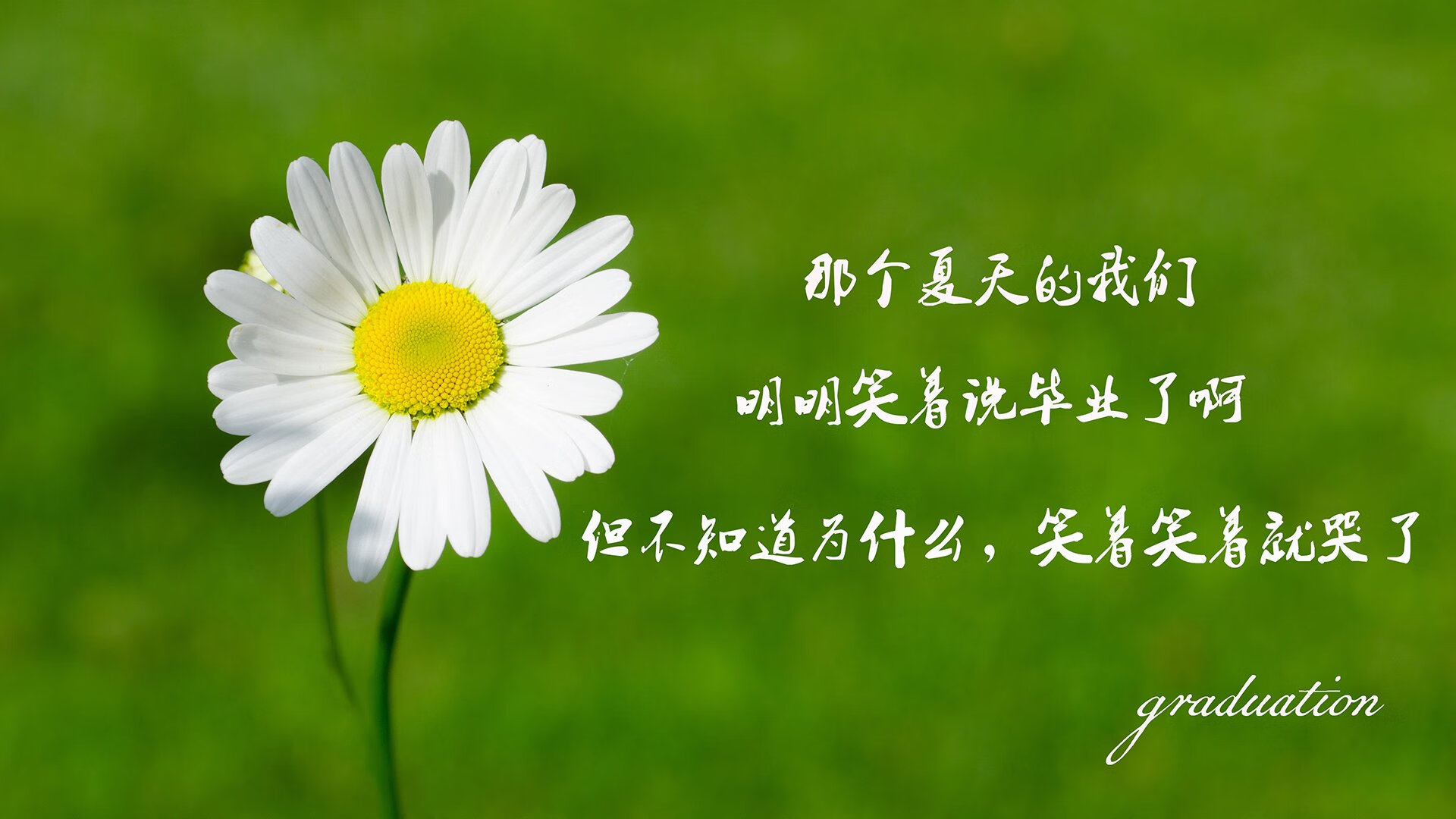 世俱杯入口-欧洲杯变阵出奇：战术创新引领足球新风潮！，欧洲杯详解